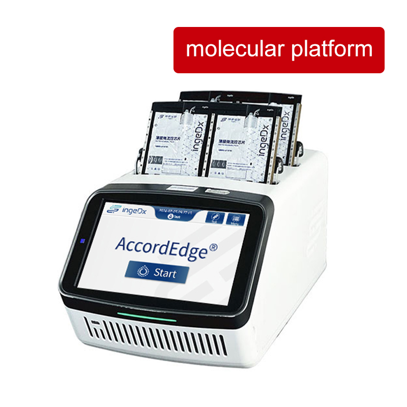 How does the molecular diagnosis platform ensure the accuracy of the test results through the design of a fully enclosed thin film microfluidic bag?