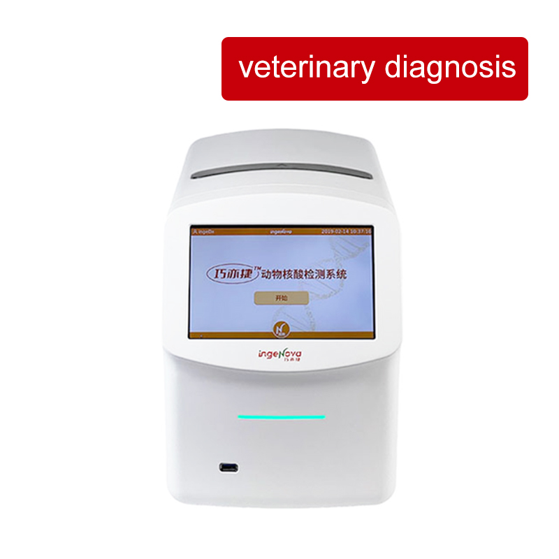 How does the veterinary AccordQuick System fully automatic thin film microfluidic nucleic acid detection all-in-one machine realize one-stop nucleic acid extraction?